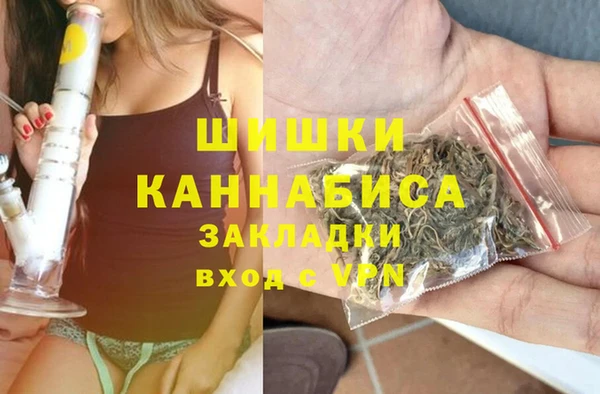спайс Арсеньев