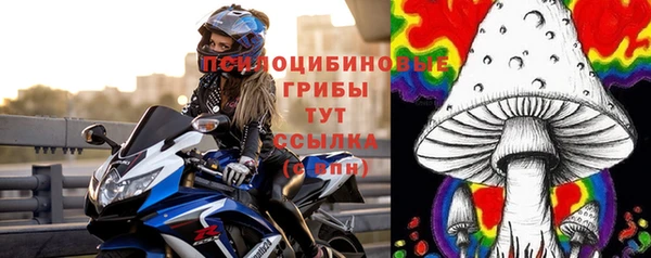 спайс Арсеньев