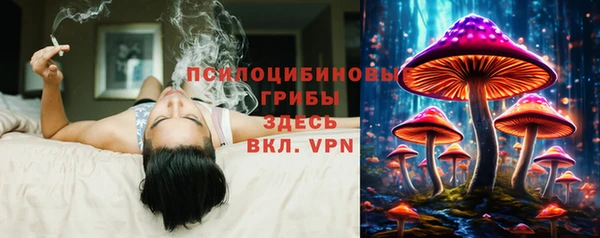 а пвп мука Аркадак